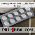 Kamagra Oral Jelly 100Mg How To Use 08